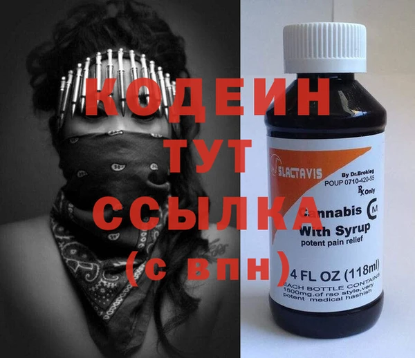 шишки Белокуриха